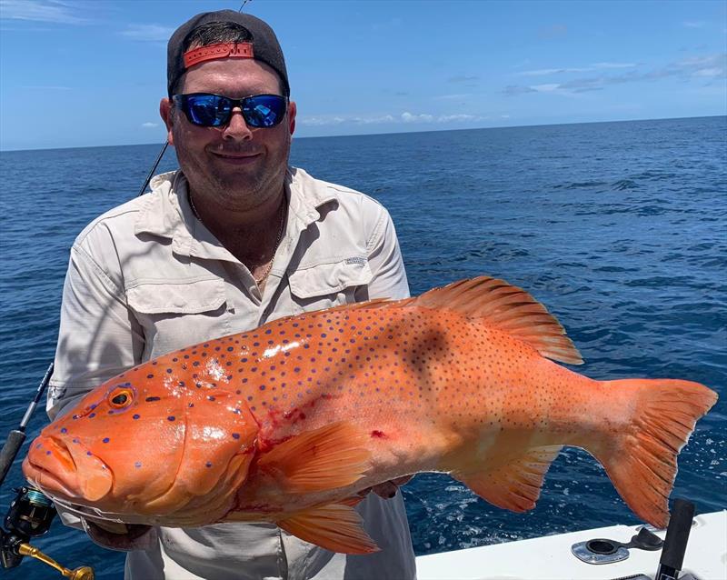 Brett with a chunky coral trout caught out in the central bay - photo © Fisho's Tackle World