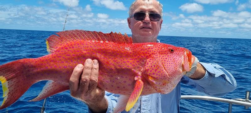 Wayne showing off the stunning colours on a coronation trout - photo © Fisho's Tackle World