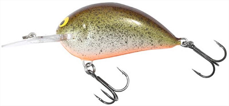 Bagley Sunny B (Root Beer) - photo © Bagley Baits