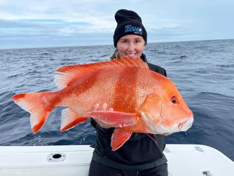 Reef fishing around Hervey Bay - photo © Fisho's Tackle World