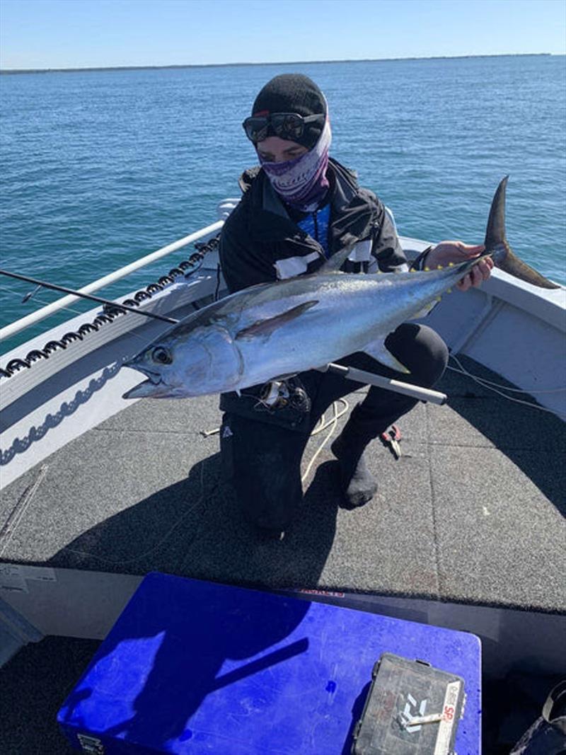 Still plenty of mixed tuna species throughout our bays waters. Nathan with a nice longtail he tempted with a stickbait photo copyright Fisho's Tackle World taken at  and featuring the Fishing boat class