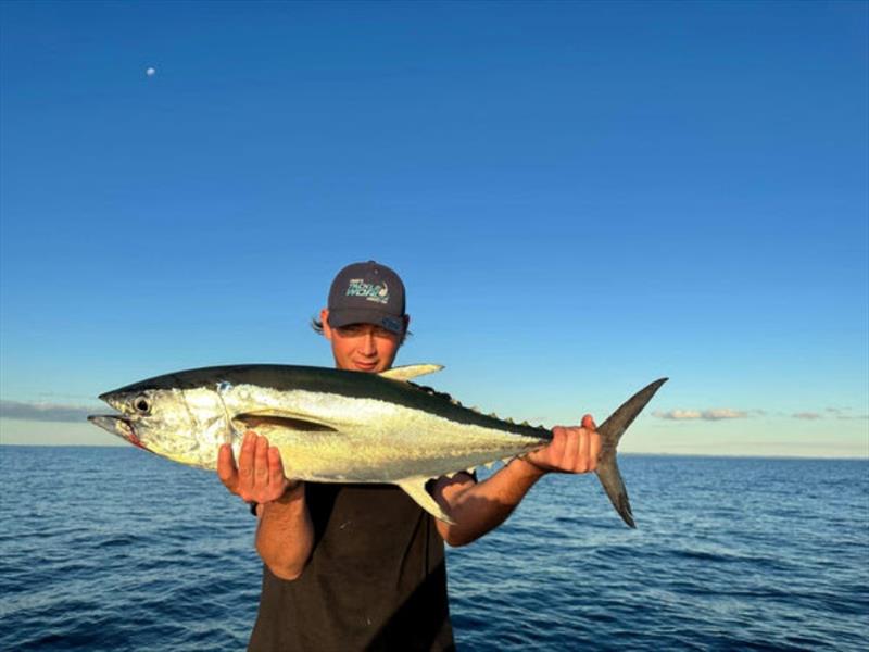 Young local, Kyah, with a handy inshore longtail tuna caught recently photo copyright Fisho's Tackle World taken at  and featuring the Fishing boat class