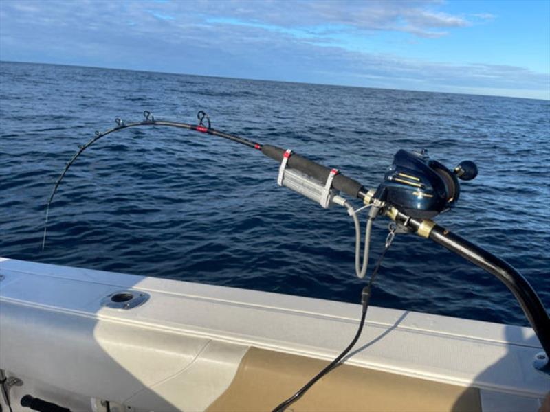 Live Fibre bent-butt rods are particularly effective in deeper waters. The  clamp-on lithium battery makes the task much easier, and the safety lanyard  is a good idea