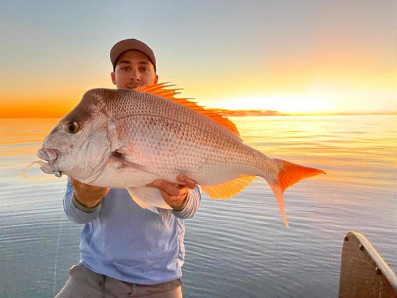 A Cast Apex 4.1in softie in casper colour was too tempting for Dane's best snapper of 83cm from a recent session photo copyright Fisho's Tackle World taken at  and featuring the Fishing boat class