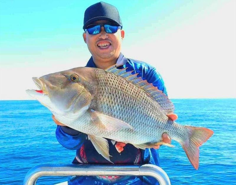 Grass sweetlip are a mainstay of the northern bay reefs. Fish the fringes and it can be one after the other photo copyright Fisho's Tackle World taken at  and featuring the Fishing boat class