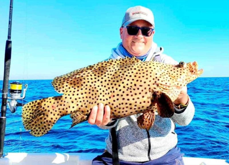 Brent had to let this barramundi cod go that he caught on a day out with Hot Reels Charters. They are a no-take species and very rare these days photo copyright Fisho's Tackle World taken at  and featuring the Fishing boat class