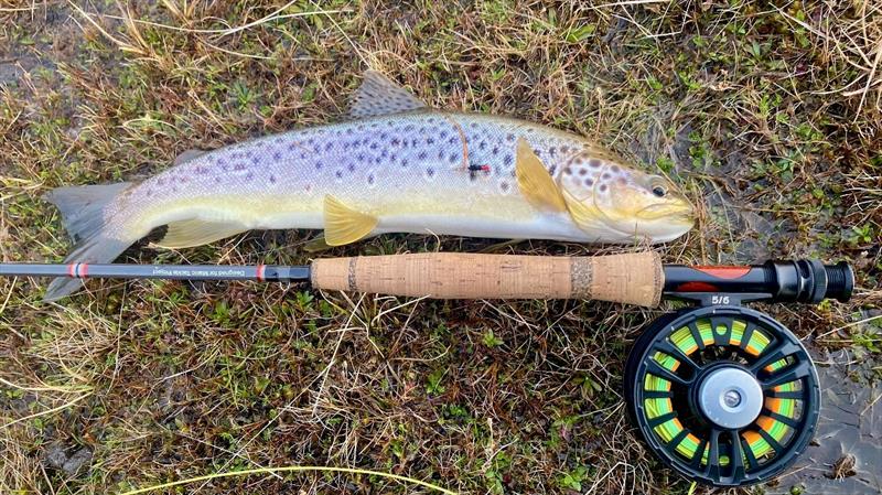 A nice tailing fish from Echo - one of several late in the day photo copyright Spot On Fishing Hobart taken at  and featuring the Fishing boat class