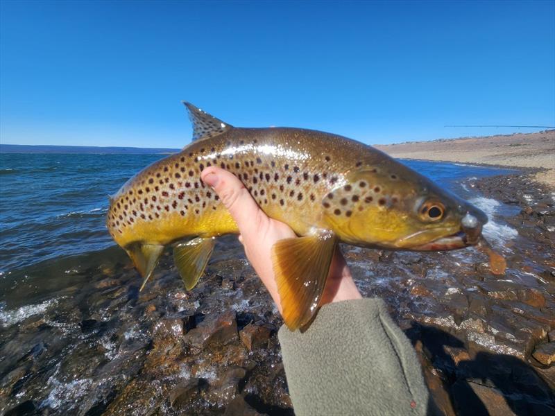 A lake that is dominated by brown trout but also has a rainbow population photo copyright Spot On Fishing Hobart taken at  and featuring the Fishing boat class