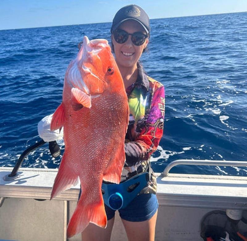 Bree picked up this nice red emperor offshore from Fraser Island recently photo copyright Fisho's Tackle World taken at  and featuring the Fishing boat class