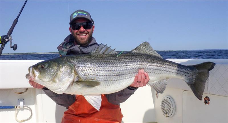 Chesapeake Bay 2023 Juvenile Striped Bass Survey results announced - photo © Maryland Department of Natural Resources