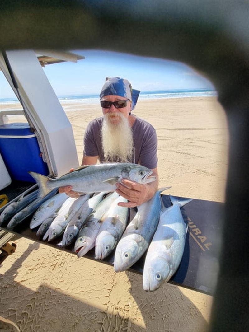 Pyrographic art master,Tony Gaunt, picked up quality tailor to 60cm along the southern stretch of Fraser last week. Nicely framed shot Tony photo copyright Fisho's Tackle World taken at  and featuring the Fishing boat class