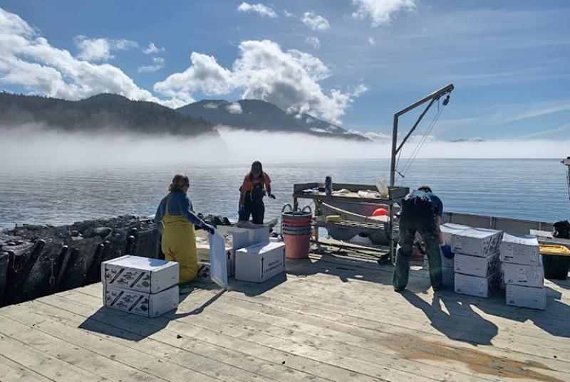 Monitoring work at Salty Lady Seafood farm photo copyright NOAA Fisheries taken at  and featuring the Fishing boat class