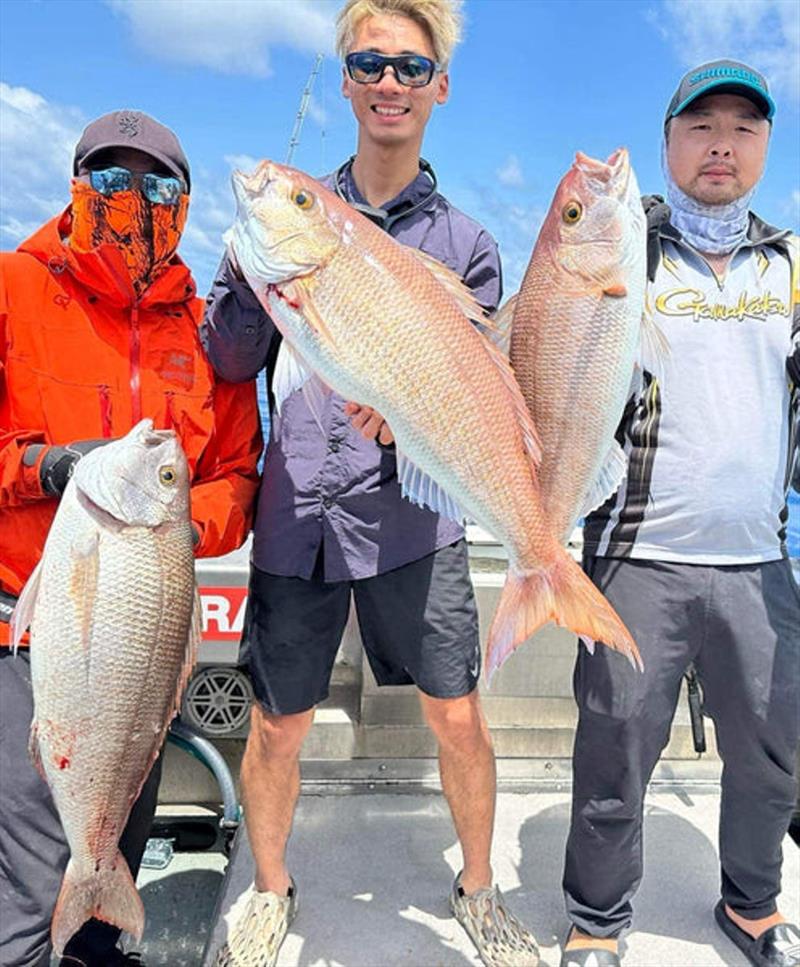 Greg Pearce from Double Island Point Fishing Charters put his clients onto a great haul of sizeable rosy jobfish. The closure is over, so they can be targeted again photo copyright Fisho's Tackle World taken at  and featuring the Fishing boat class
