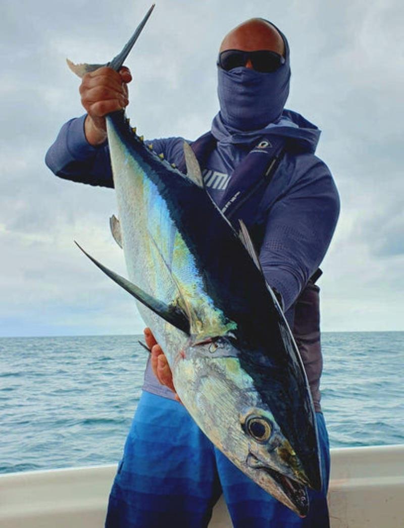 Longtail tuna are abundant in the bay again. There's some real barrels amongst them too photo copyright Fisho's Tackle World taken at  and featuring the Fishing boat class