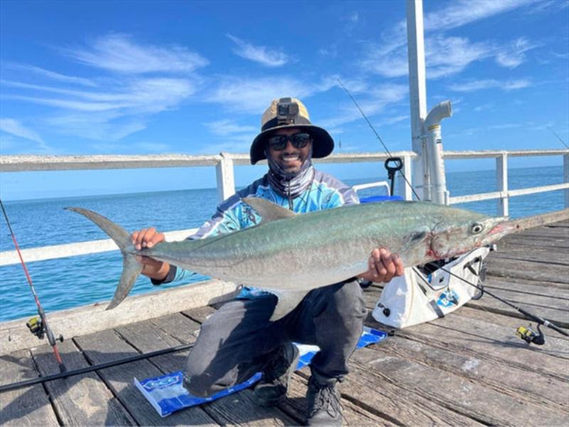Don caught this quality broadie from Urangan Pier this week. If the hardy heads hang about, so will the broadies photo copyright Fisho's Tackle World taken at  and featuring the Fishing boat class