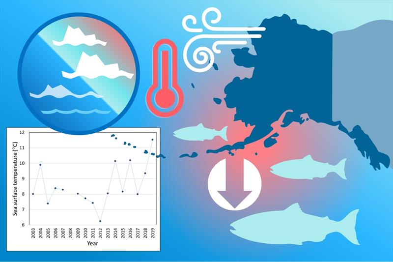 Arctic regions are experiencing accelerated warming, extremes in seasonal sea ice extent, and reduced salmon runs - photo © NOAA Fisheries