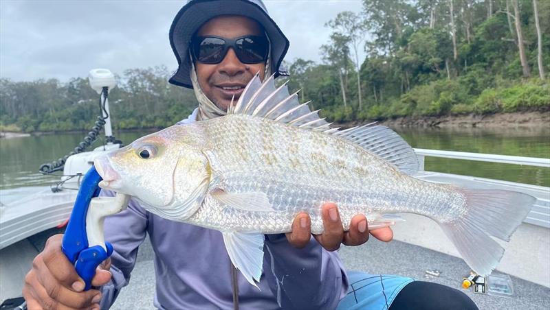 A lot of fish have swum well upstream in our estuaries, as Billy Daniel's mate found out with this nice grunter photo copyright Fisho's Tackle World taken at  and featuring the Fishing boat class