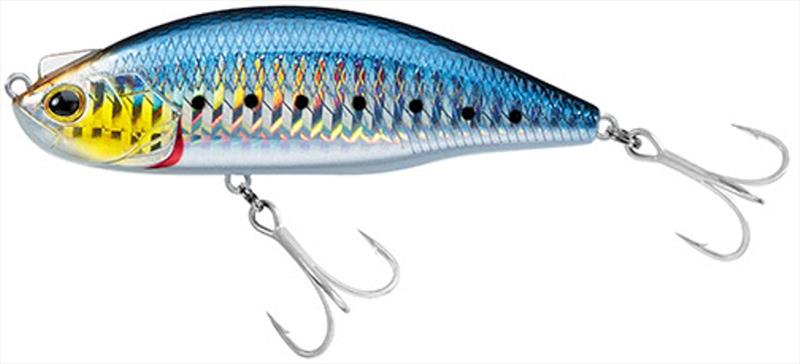 Holo Sardine - Daiwa's new LAZY FA SHAD - photo © Daiwa