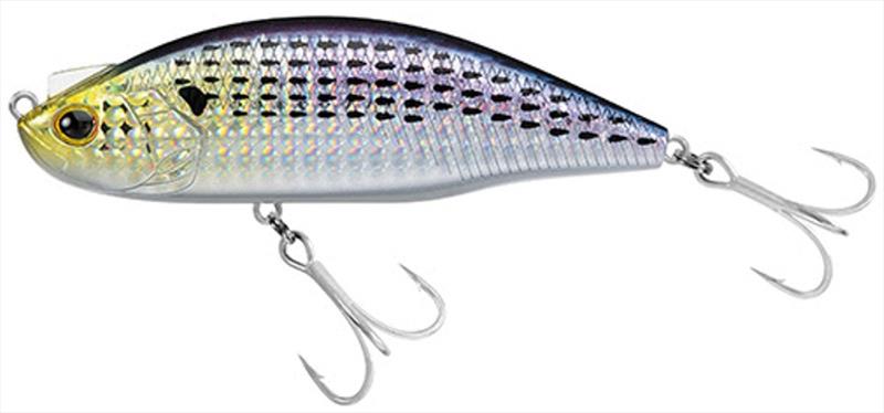 Konoshiro - Daiwa's new LAZY FA SHAD - photo © Daiwa