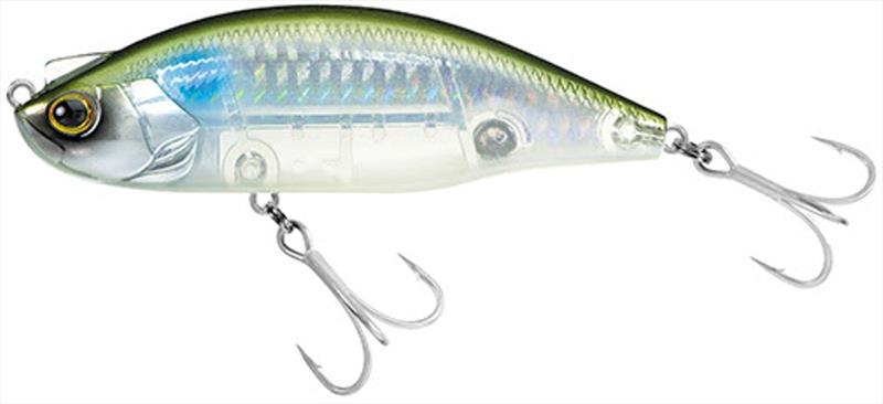 Skeleton Mullet - Daiwa's new LAZY FA SHAD - photo © Daiwa