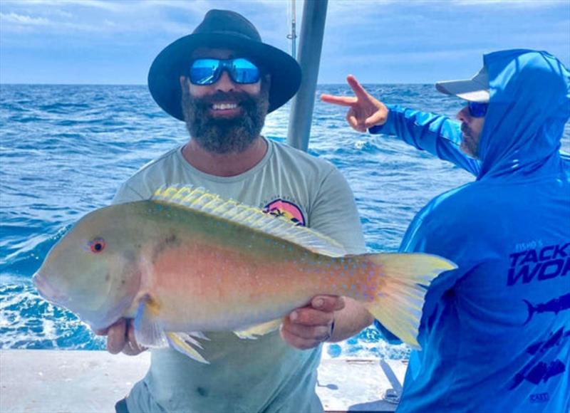 Luke was happy with this solid tusky from a recent charter trip offshore photo copyright Fisho's Tackle World taken at  and featuring the Fishing boat class