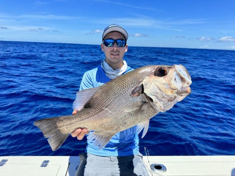 Solid pearlies are regular captures along and over the shelf. The sharks are bad in 100 metres, but Dane snuck this one in before they wised up - photo © Fisho's Tackle World