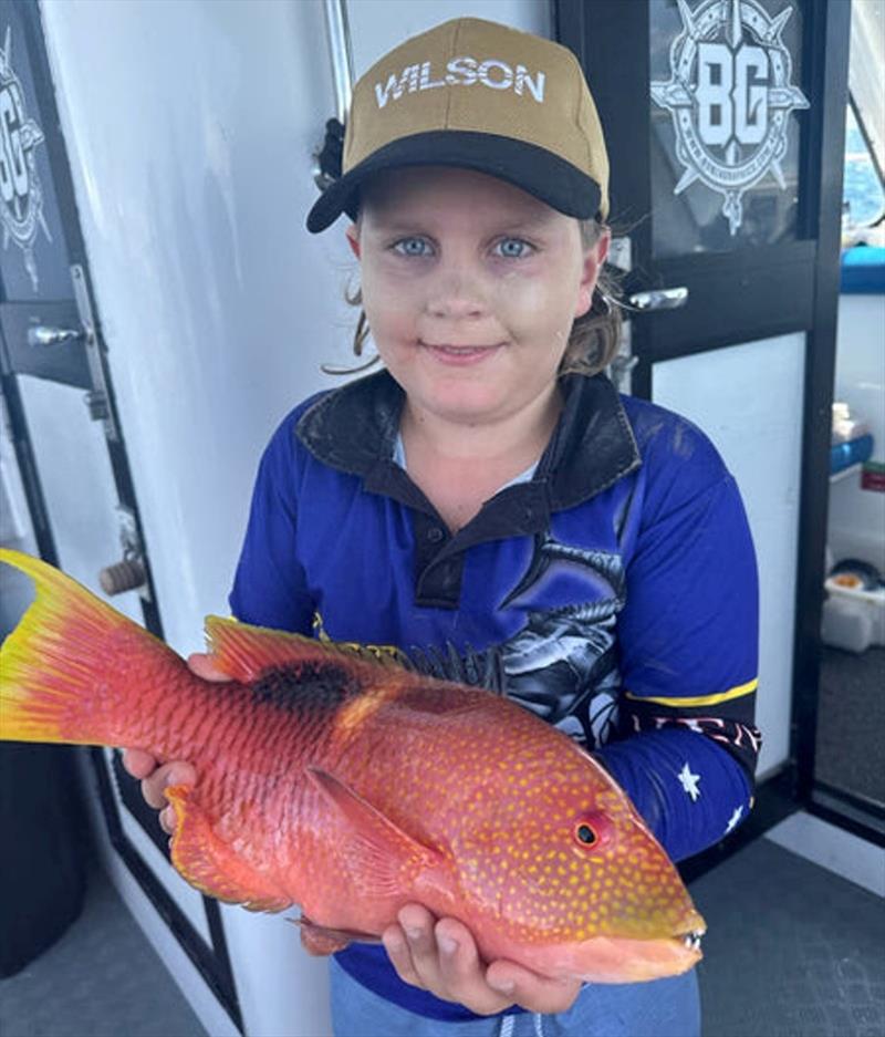 Ollie Pearce with a Gold Spot Wrasse he caught whilst out fishing with his dad on Double Island Point Fishing Charters - photo © Fisho's Tackle World