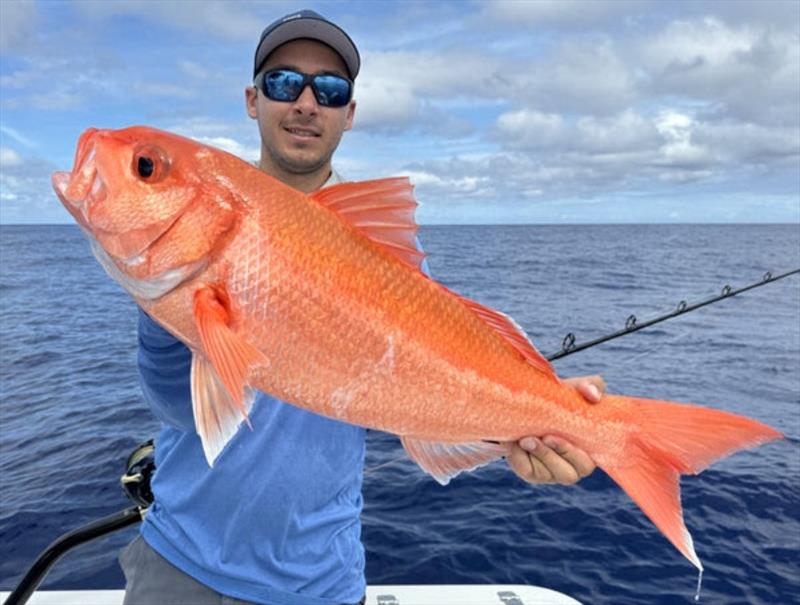 Dane was extra-stoked with this solid ruby on the deep drop gear. It's a who's who of the jobfish clans out over our continental shelf - photo © Fisho's Tackle World