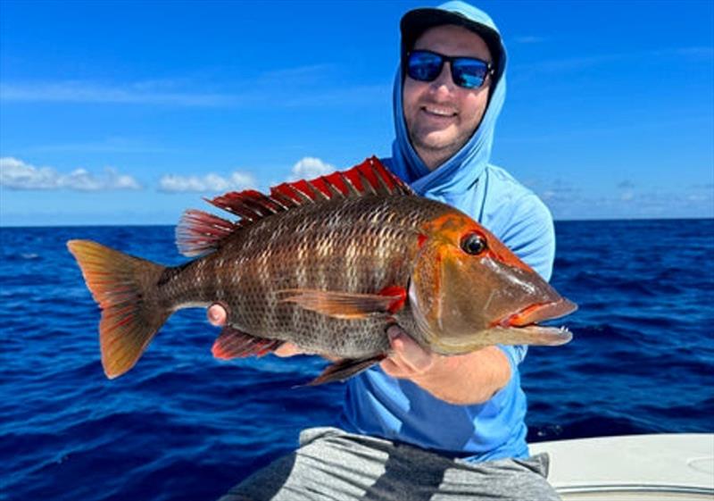 Jacko with a plump red throat from the 50-metre shoal country. Prime fish, but magnets for sharks too unfortunately - photo © Fisho's Tackle World
