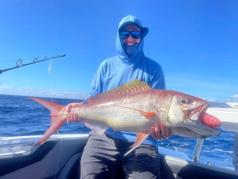 Tom hauled this solid Iron Jaw up from the depths recently. Just one of many jobfish species you can find out there photo copyright Fisho's Tackle World taken at  and featuring the Fishing boat class