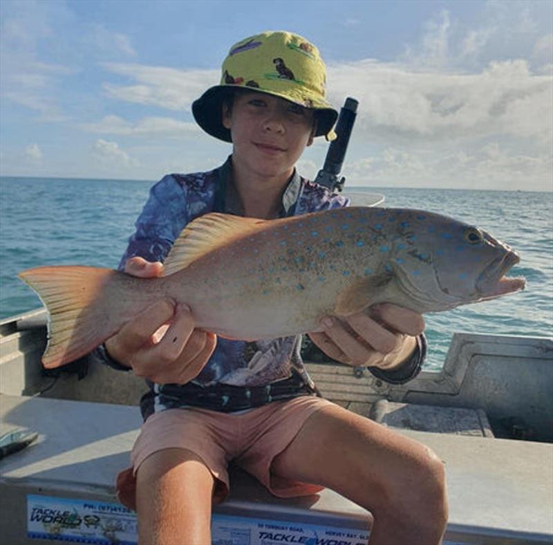 It was coral trout for dinner for Dylan Cawley and his family. Well done young fella - photo © Fisho's Tackle World