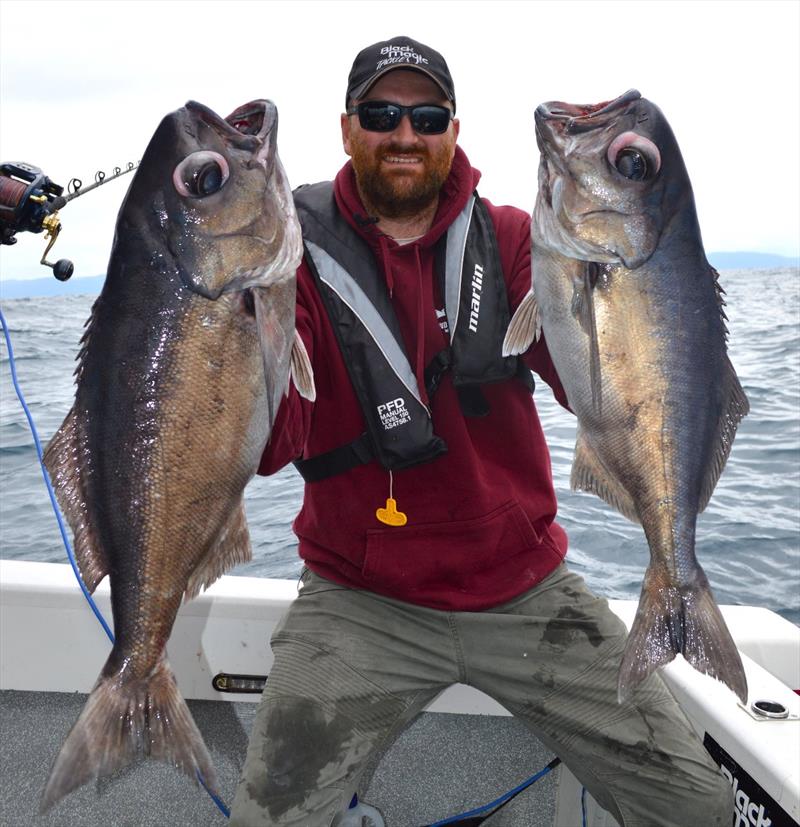 Jonah Yick had trip out to shelf from Eaglehawk Neck with mate Dave Standing from Victoria. They got good numbers of blue eye trevalla, gemfish, grenadier in 500m of water. All fish caught on Black magic tackle KLT circle hooks and 400 pound tough trace - photo © Spot On Fishing Hobart