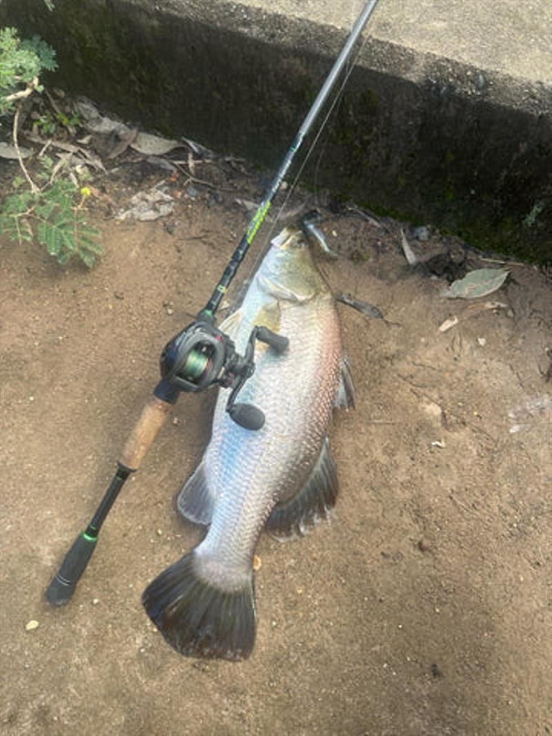 There is any number of shore-based spots you might catch a barra in Hervey Bay. Take some small lures for a flick and try your luck photo copyright Fisho's Tackle World taken at  and featuring the Fishing boat class