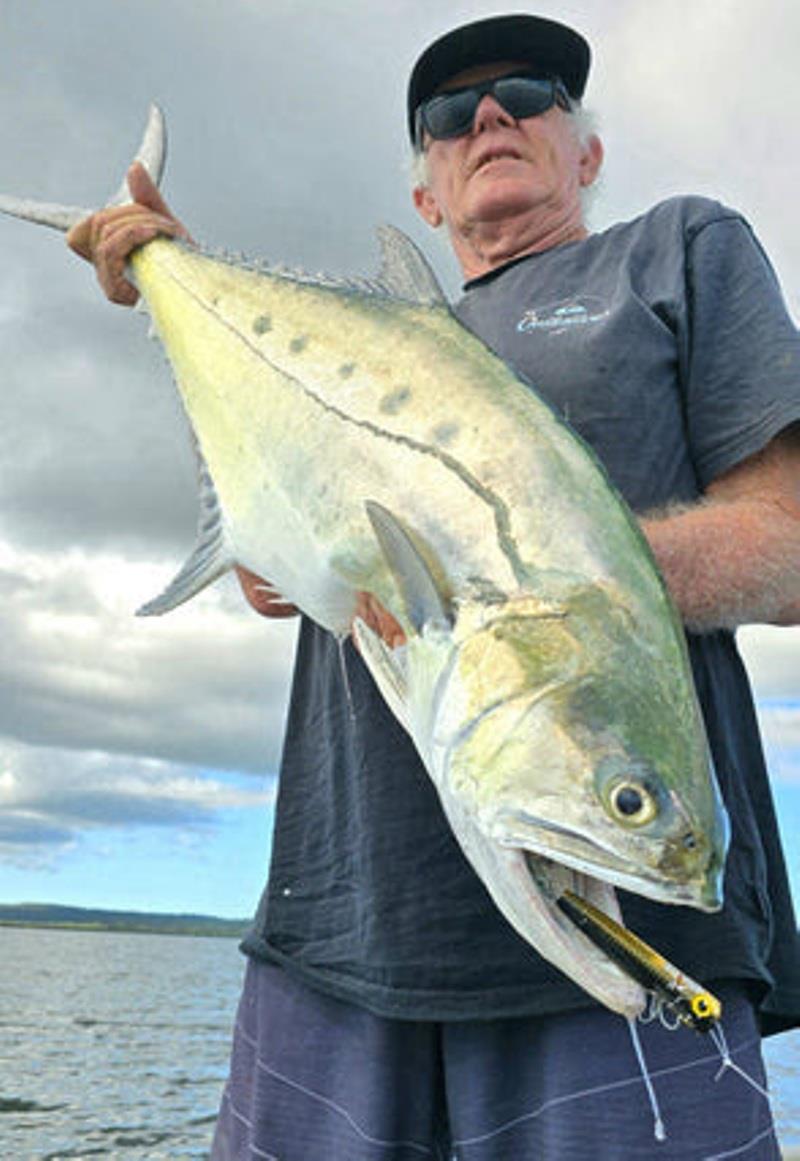 Queenies are happily feasting in our stained inshore waters. There are plenty getting about in ultra skinny water too - photo © Fisho's Tackle World