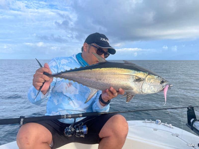 Thanh used a stock standard Hervey Bay tuna lolly to tempt this school longtail. Zman jerkshads and heavy jig heads are winners all the time - photo © Fisho's Tackle World