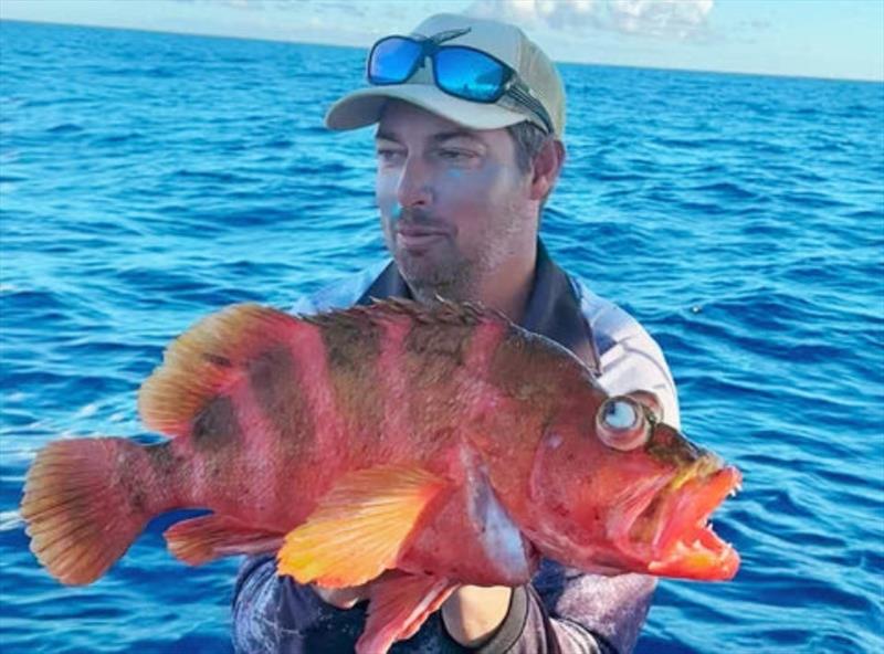Deej dragged this Eyebrow Perch from the depths last week. There is some weird and wonderful ooglies out there photo copyright Fisho's Tackle World taken at  and featuring the Fishing boat class