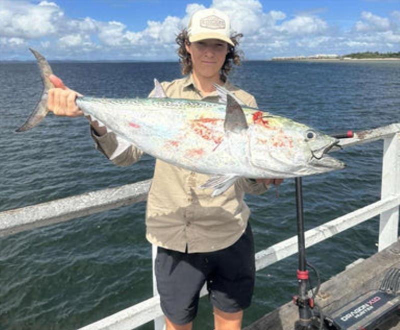 Max hauled this solid mack tuna over the Urangan Pier rails this week. Action aplenty most days of late - photo © Fisho's Tackle World