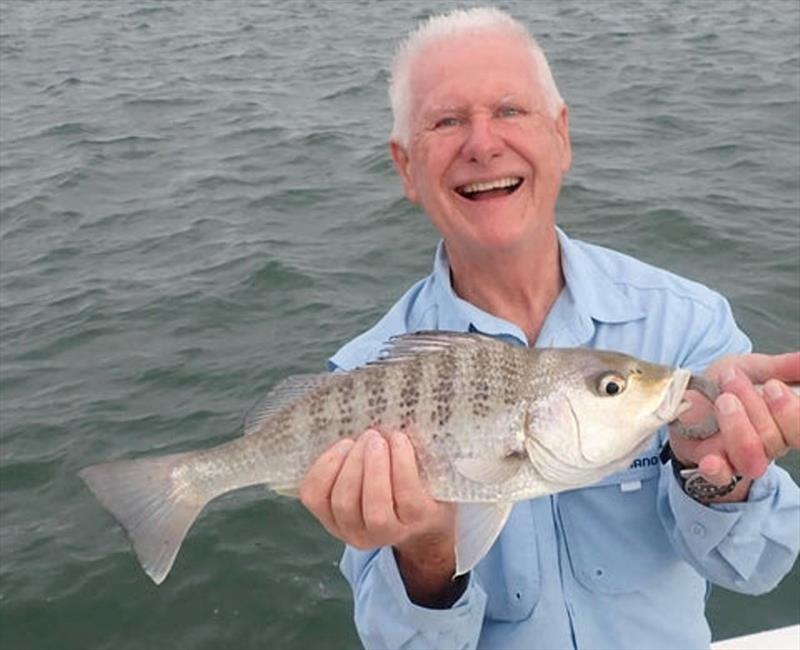 Grunter a fantastic light tackle sport fish and an exceptional table fish photo copyright Fisho's Tackle World taken at  and featuring the Fishing boat class