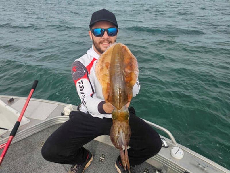 Don't head out onto the bay or down the straits without larger squid jigs this time of year - photo © Fisho's Tackle World