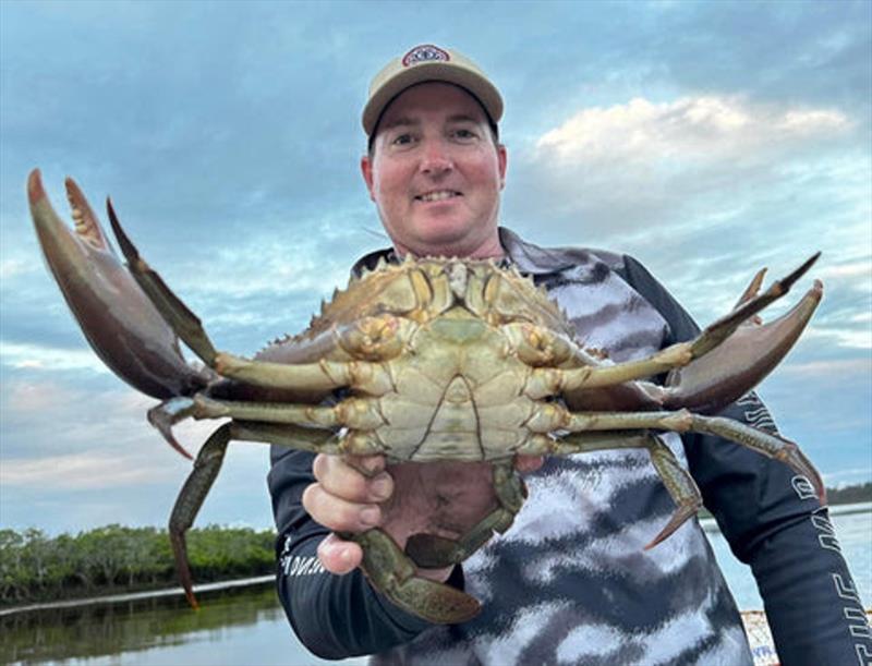 Leon has been feasting on some of Qld's finest of late. The muddies are still on the march, but for how long - photo © Fisho's Tackle World