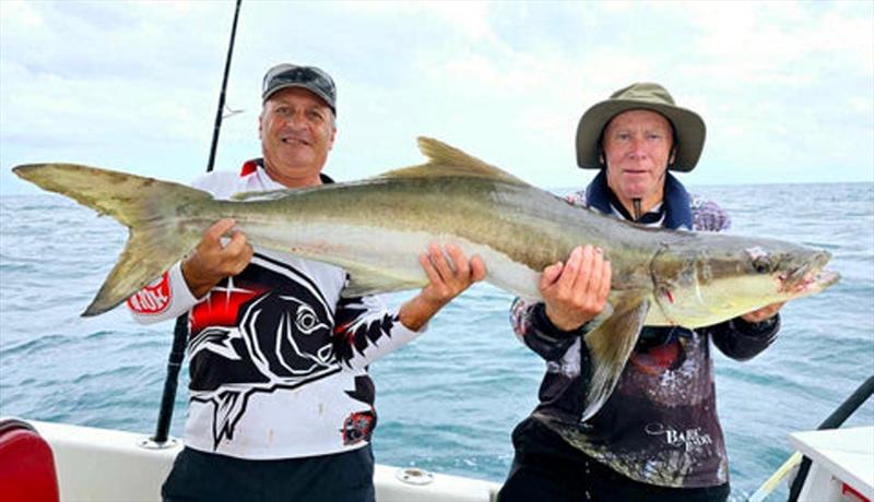 A large cobia for a Hot Reels Fishing Charter client - photo © Fisho's Tackle World