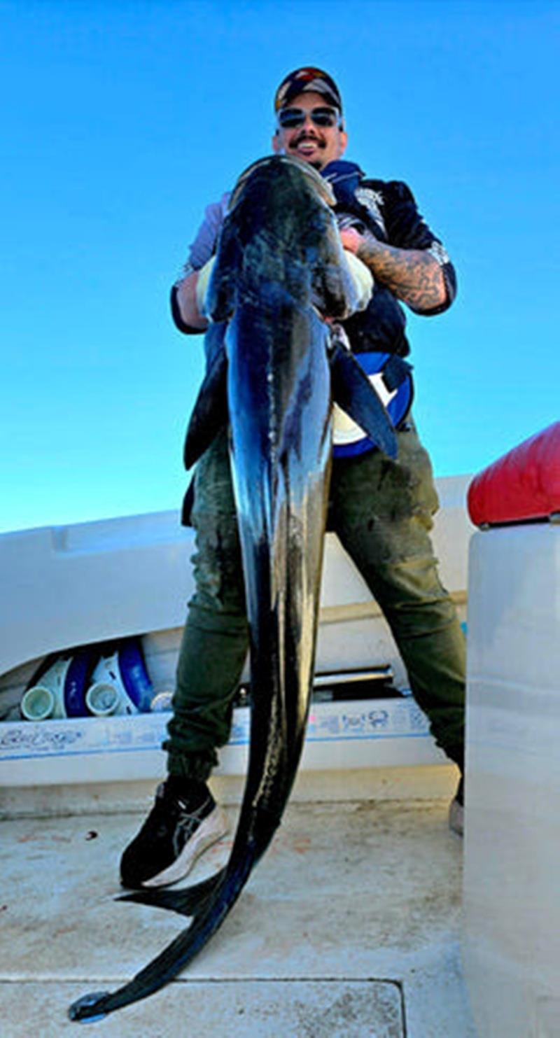 Huge cobia are cruising Hervey Bay at present. This ripper came from a Hot Reels fishing charter a few weeks ago photo copyright Fisho's Tackle World taken at  and featuring the Fishing boat class
