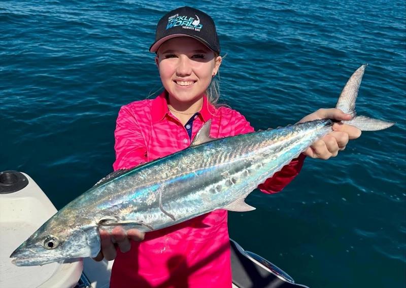 Finding mackerel inshore in Hervey Bay at present is a very simple affair - photo © Fisho's Tackle World