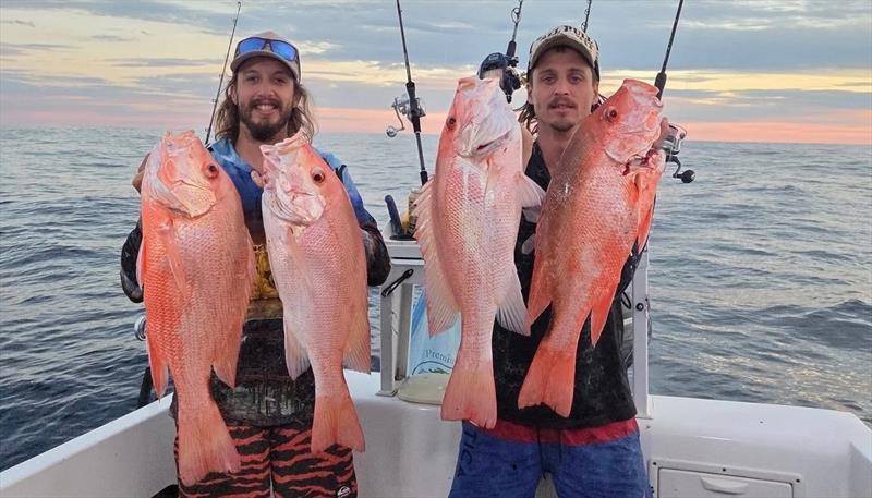 Chris kept his crew busy catching prime reef fish last weekend including beaut nannies like these - photo © Fisho's Tackle World