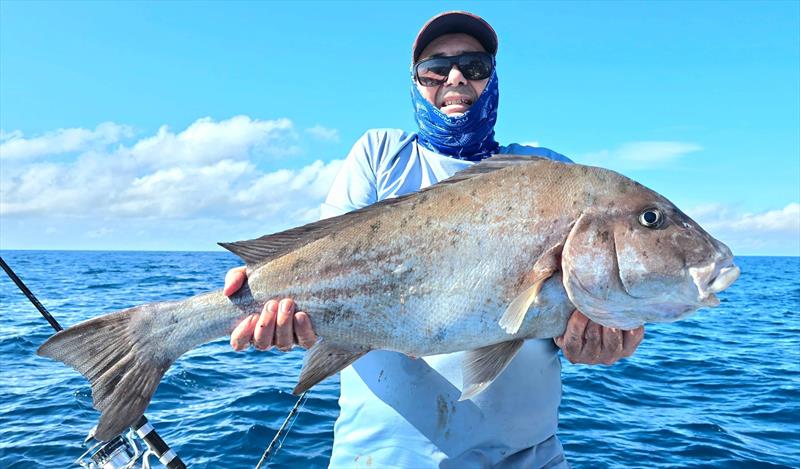 They may not be target fish but big blackall fight just as hard as any reefie. Hot Reels has been into them lately - photo © Fisho's Tackle World