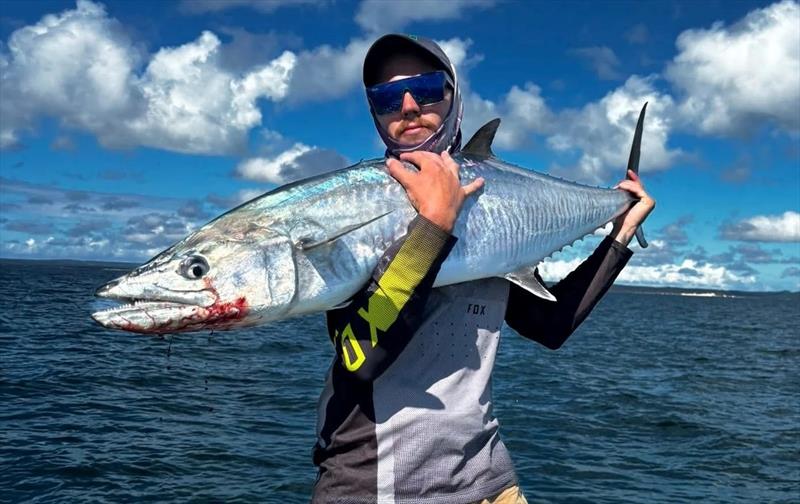 Take your larger stickbaits out for a session on the bay's spaniards. They are moving inshore and thicker than ever photo copyright Fisho's Tackle World taken at  and featuring the Fishing boat class
