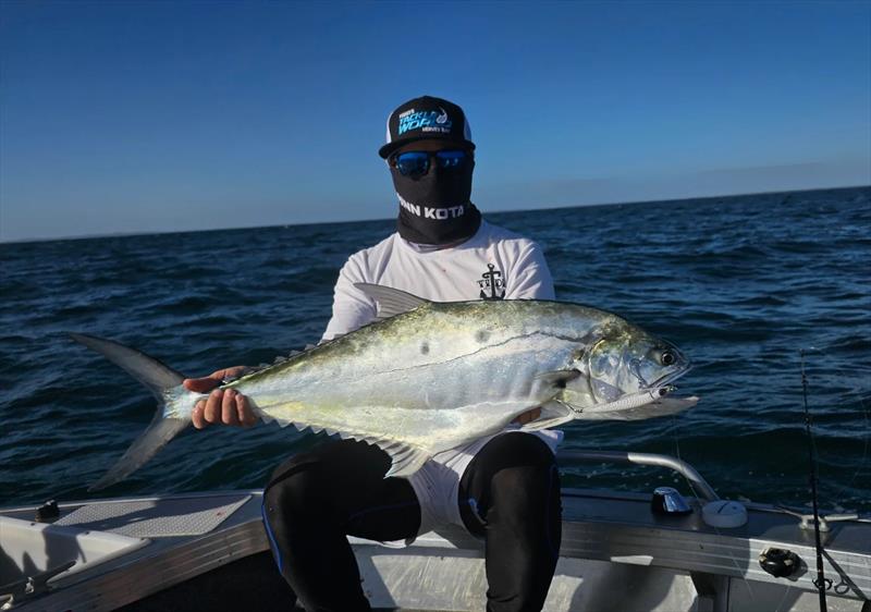 Dan's Rapala Long Cast topwater stickbait was too tempting for this Hervey Bay queenie - photo © Fisho's Tackle World Hervey Bay