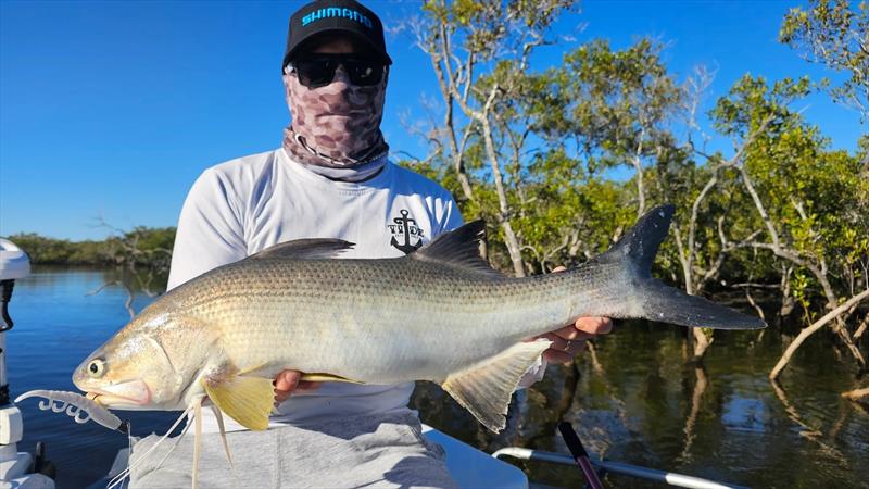 Dan had a fun day out with Jacko. Both were surprised to catch 'small' threadies in dirtied waters created by westerly winds - photo © Fisho's Tackle World Hervey Bay