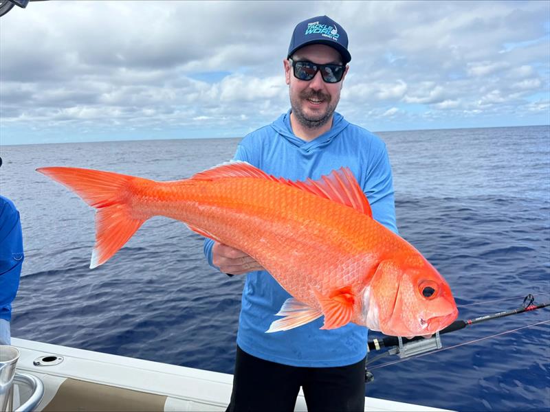 Deep drop fishing - photo © Fisho's Tackle World Hervey Bay
