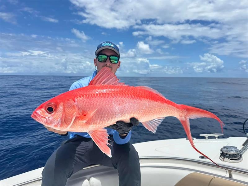 Deep drop fishing - photo © Fisho's Tackle World Hervey Bay